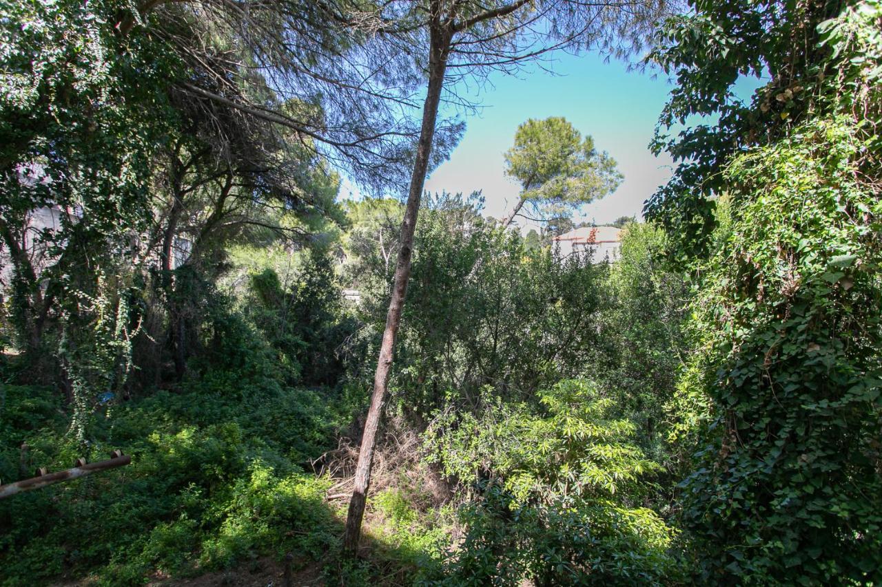 Carmel Boutique Apartments - Urban Forest Χάιφα Εξωτερικό φωτογραφία